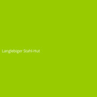 Langlebiger Stahl-Hut