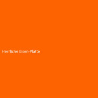 Herrliche Eisen-Platte